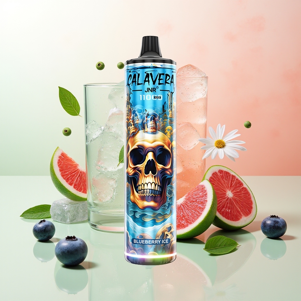 JNR Calavera 11000 Puffs Heidelbeer-Eis Typ-C 850mAh 21ml 1.0ohm Mesh