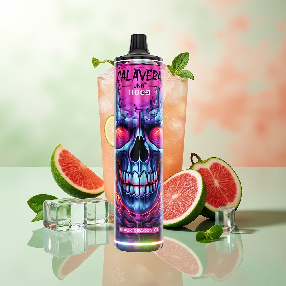 JNR Calavera 11000 Puffs Schwarz Drache Eis Typ-C 850mAh 21ml 1.0ohm Mesh