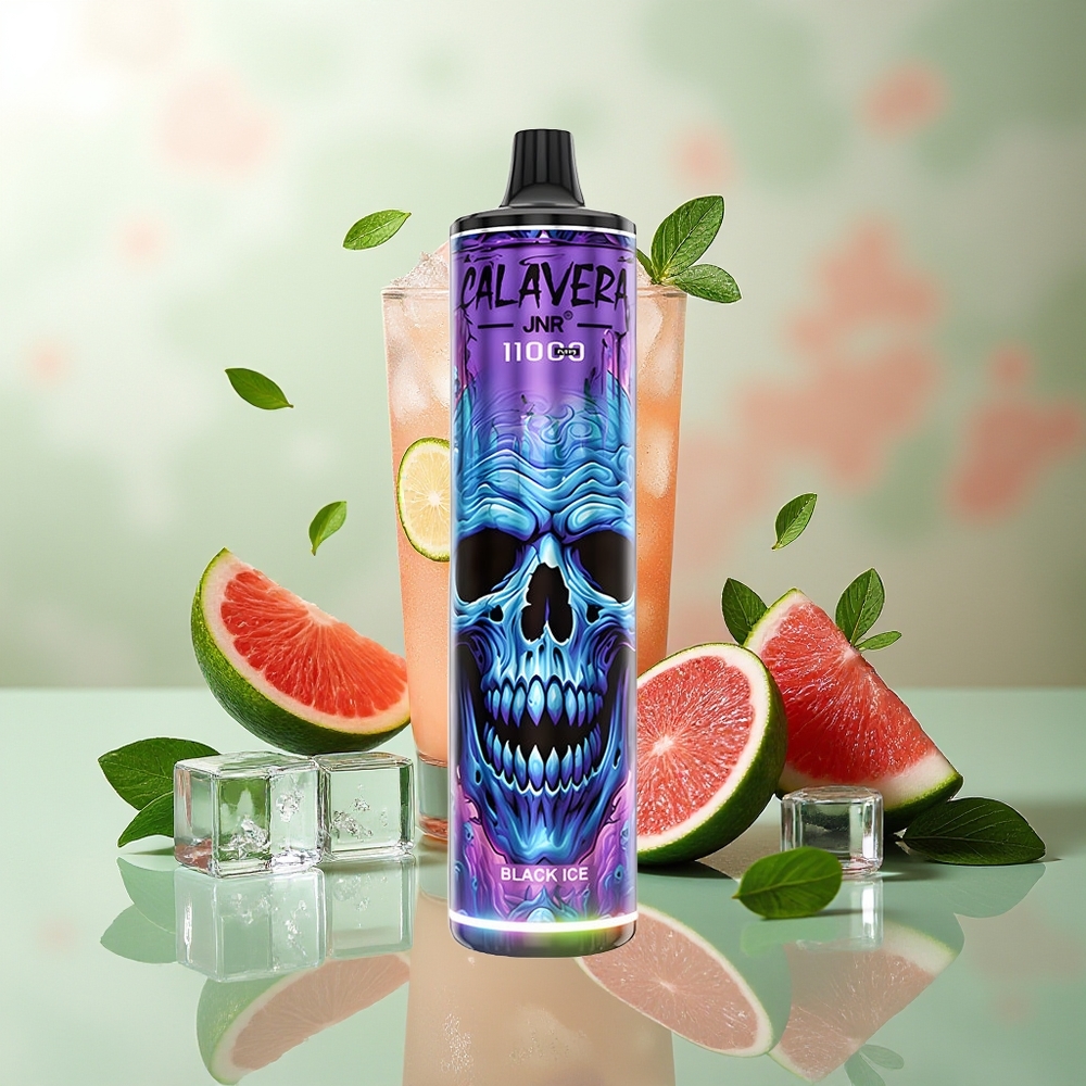 JNR Calavera 11000 Puffs Schwarz-Eis Typ-C 850mAh 21ml 1.0ohm Mesh