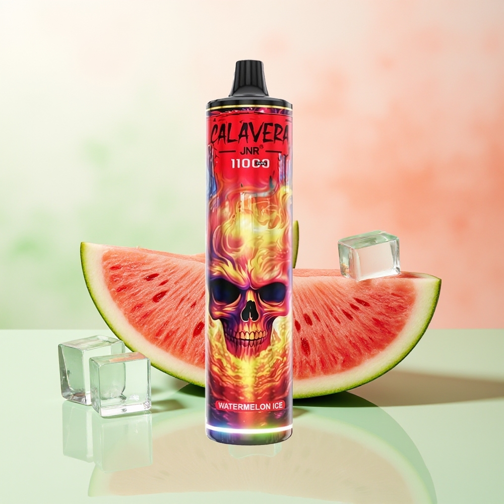 JNR Calavera 11000 Puffs Wassermelone Eis Typ-C 850mAh 21ml 1.0ohm Mesh