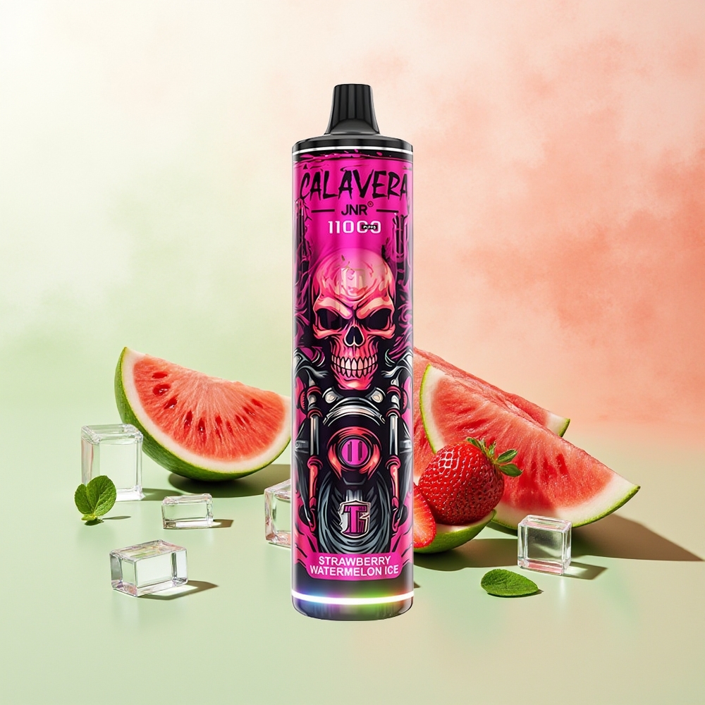 JNR Calavera 11000 Züge Erdbeer Wassermelone Eis Typ-C 850mAh 21ml 1.0ohm Mesh
