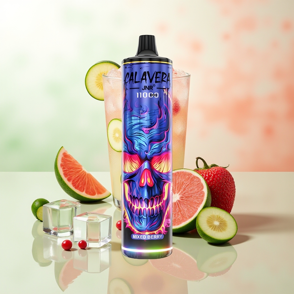 JNR Calavera 11000 Züge Mischbeere Typ-C 850mAh 21ml 1.0ohm Mesh 0/2/5%