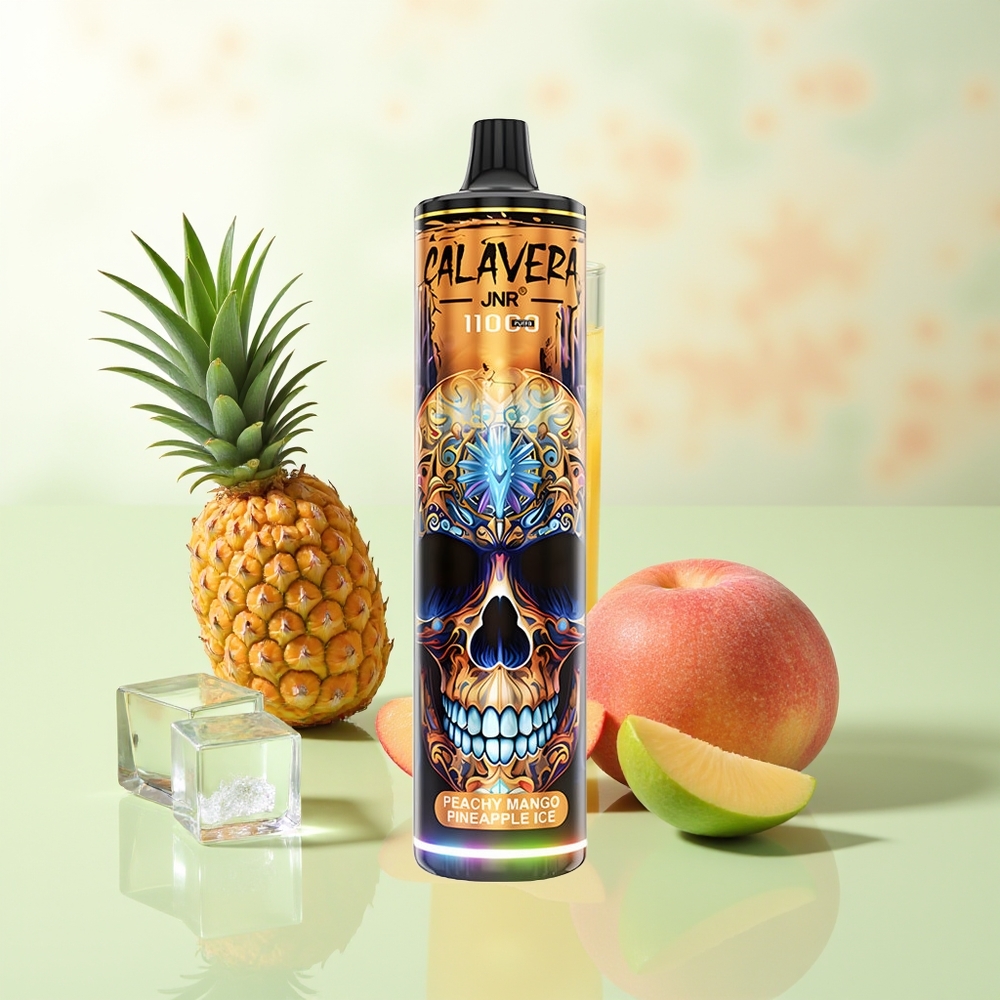 JNR Calavera 11000 Züge Pfirsich Mango Ananas Eis Typ-C 850mAh 21ml 1.0ohm Mesh 0%2%5% Nikotin