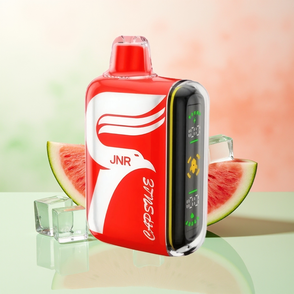 JNR Capsule 15000 Züge Wassermelone Eis Dual Mesh Coil LED Display Boost Mode Typ-C Schnellladung