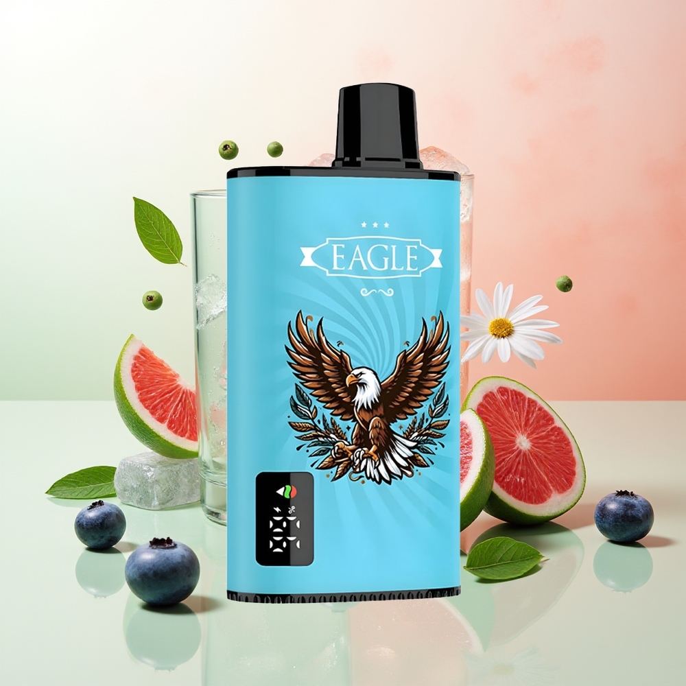 JNR EAGLE Smart 23000 Puffs Digitale Anzeige 1.0ohm Mesh Coil Verstellbare Luftzufuhr 750mAh Typ-C 25ml Heidelbeer-Eis