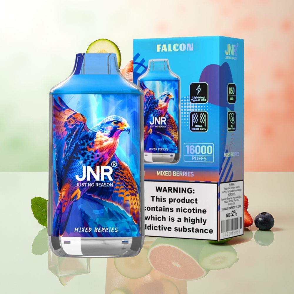 JNR Falcon 16000 Züge Beerenmix 850 mAh 22ml Dual Mesh Coil Typ C & LED Display 0%2%