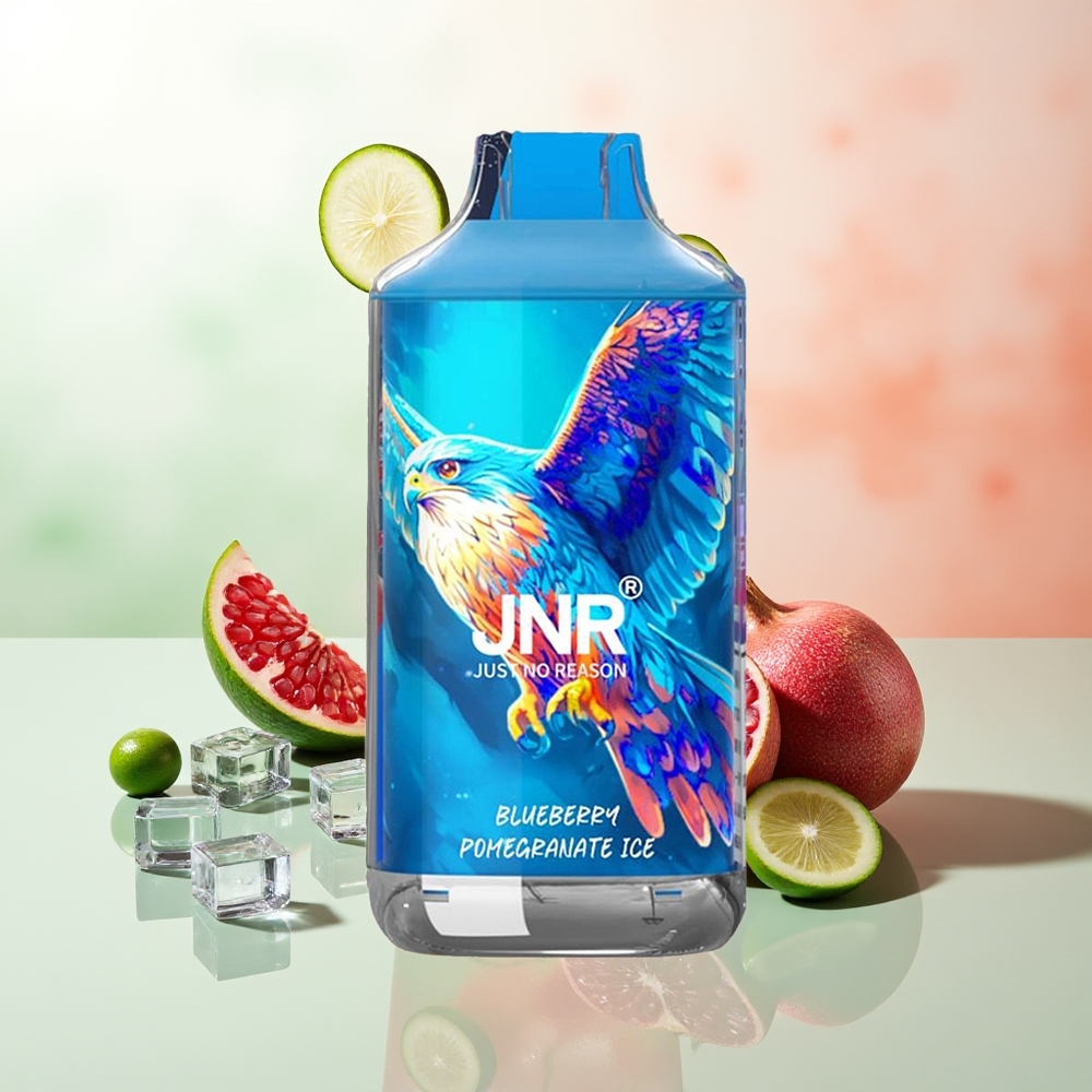 JNR Falcon 16000 Züge Blaubeere Granatapfel Eis 850 mAh 22ml Dual Mesh Coil Typ C & Lightning Smart LED Display 0% 2%