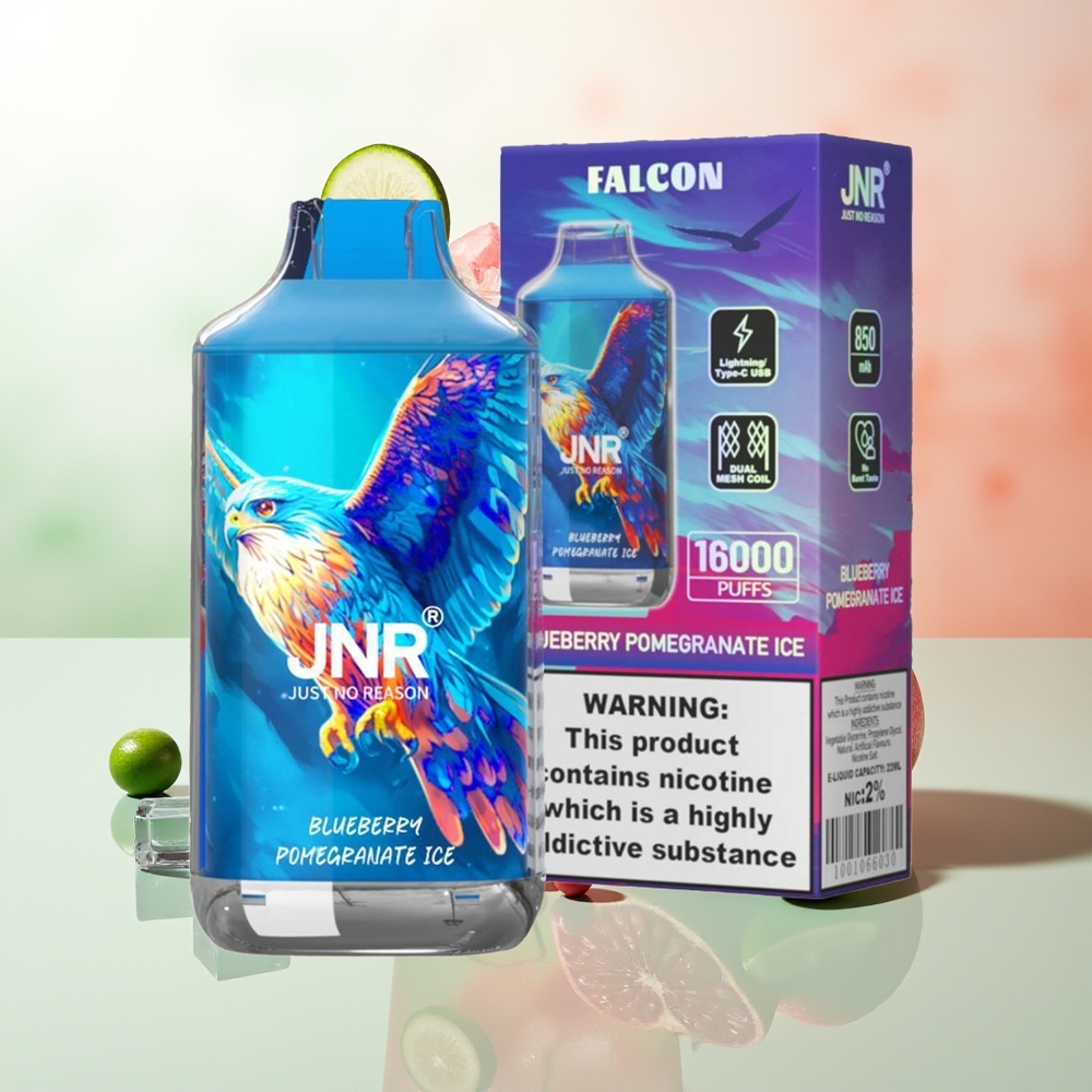 JNR Falcon 16000 Züge Blaubeere Granatapfel Eis 850 mAh 22ml Dual Mesh Coil Typ C & Lightning Smart LED Display 0% 2%
