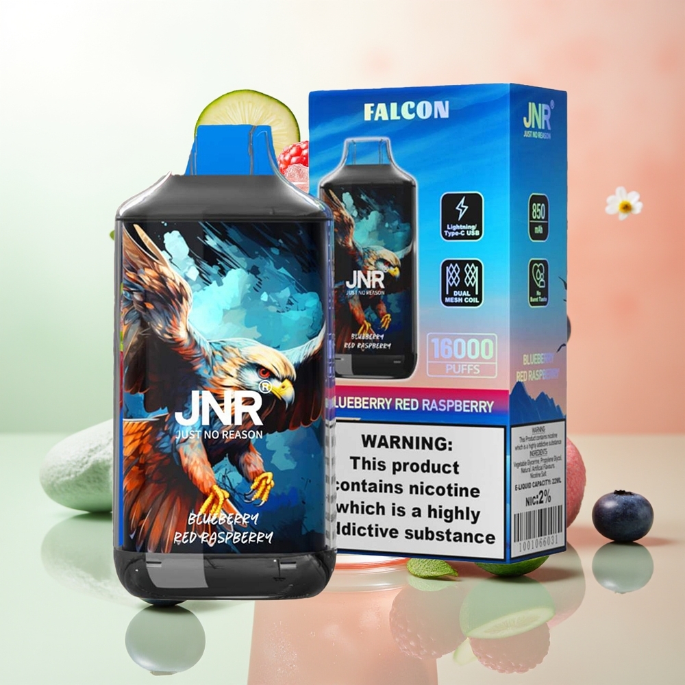 JNR Falcon 16000 Züge Blaubeere Rote Himbeere 850 mAh 22ml Dual Mesh Coil Typ C & Lightning Smart LED Display 0% 2%