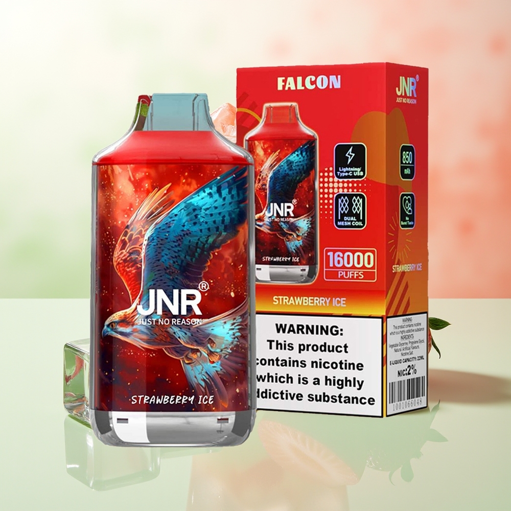 JNR Falcon 16000 Züge Erdbeer-Eis 850 mAh 22ml Dual Mesh Coil Typ C & Lightning Smart LED Display 0% 2%