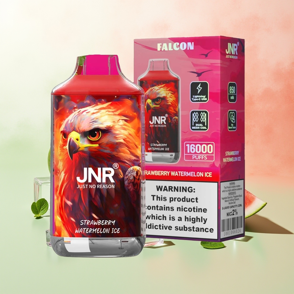 JNR Falcon 16000 Züge Erdbeer-Wassermelone-Eis 850mAh 22ml Dual Mesh Coil Typ C & Lightning Smart LED Display 0%2%