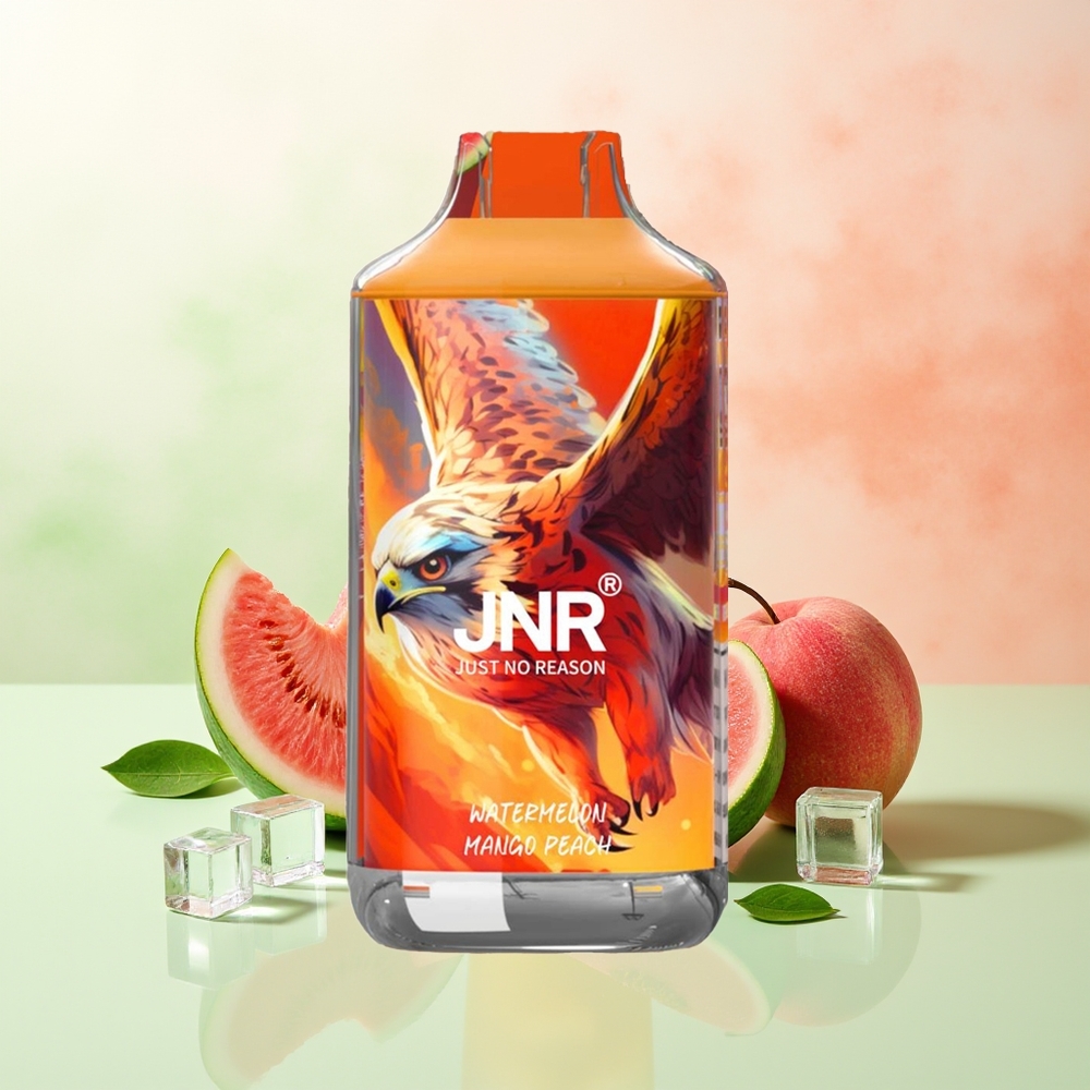 JNR Falcon 16000 Züge Wassermelone Mango Pfirsich 850 mAh 22ml Dual Mesh Coil Typ C & Lightning Smart LED 0% 2%