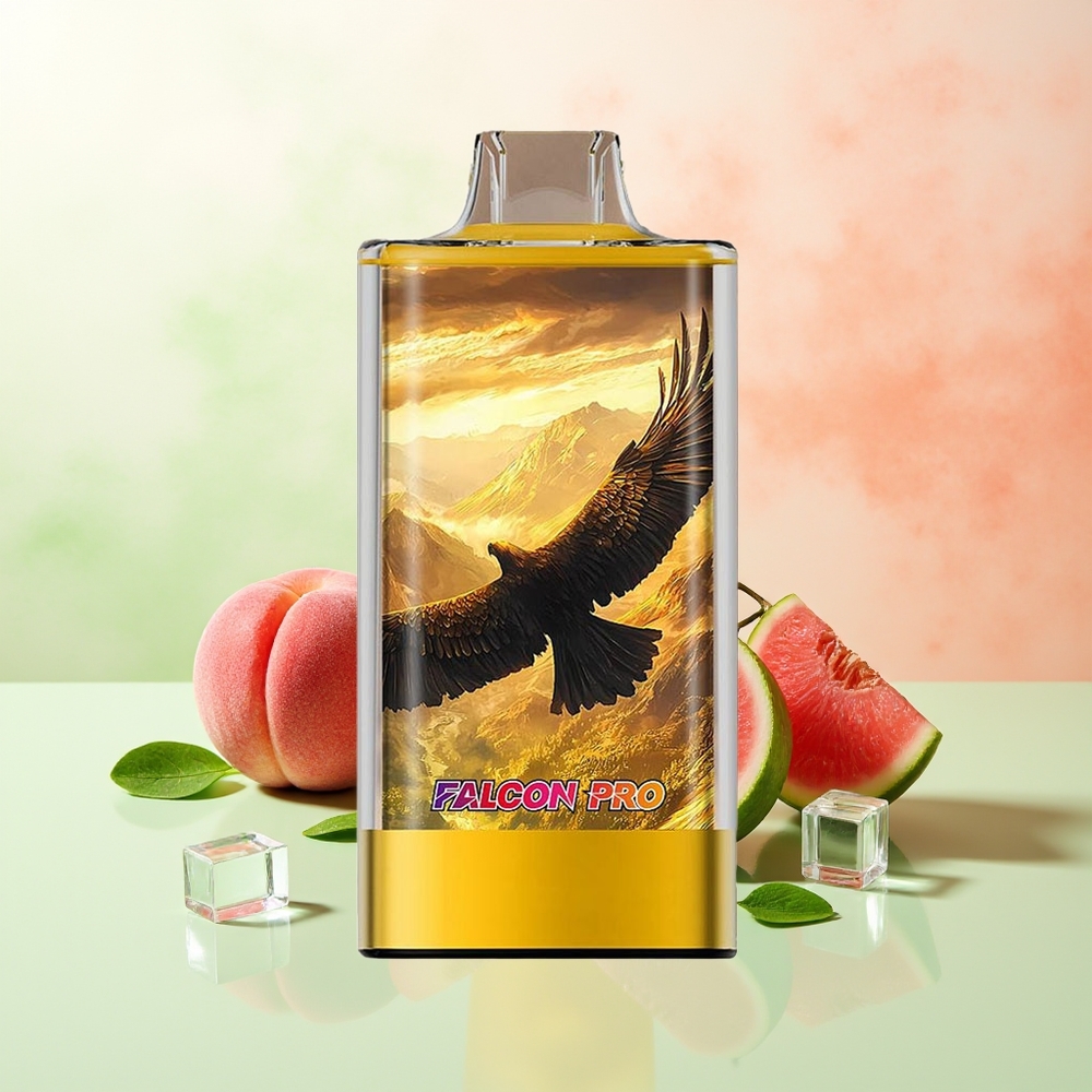 JNR Falcon Pro 28000 30ml Pfirsich Mango Wassermelone Dual Mesh USB-C MTL