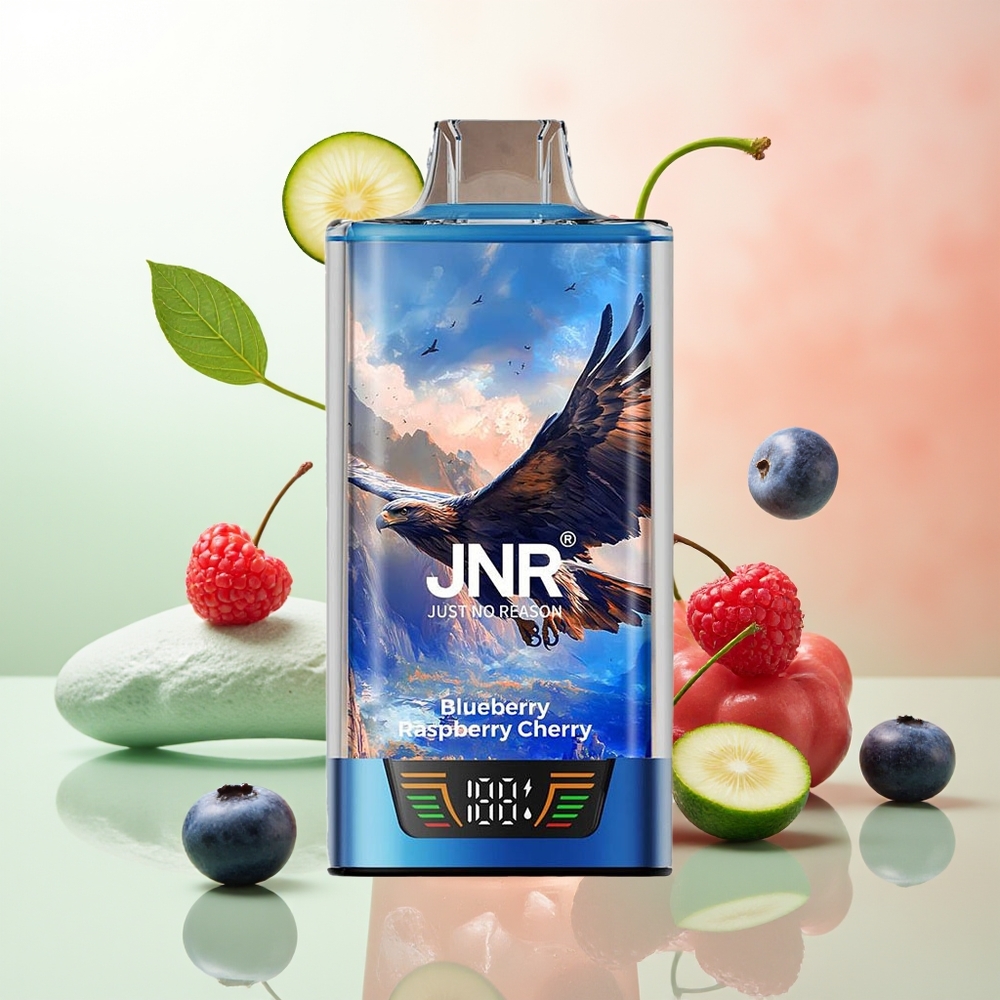 JNR Falcon Pro 28000 MTL 30ml Type-C Blauberry Himbeere Kirsche Dual Mesh Smart Display