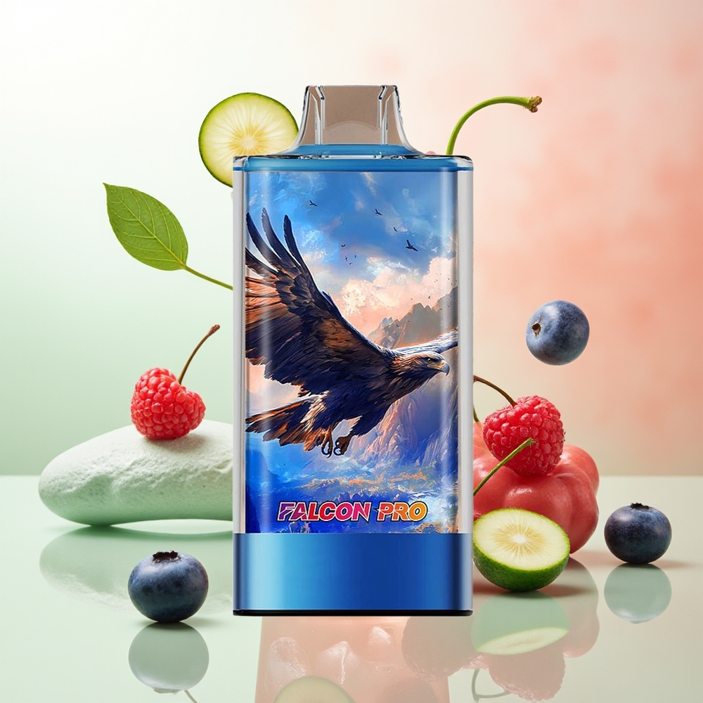 JNR Falcon Pro 28000 MTL 30ml Type-C Blauberry Himbeere Kirsche Dual Mesh Smart Display