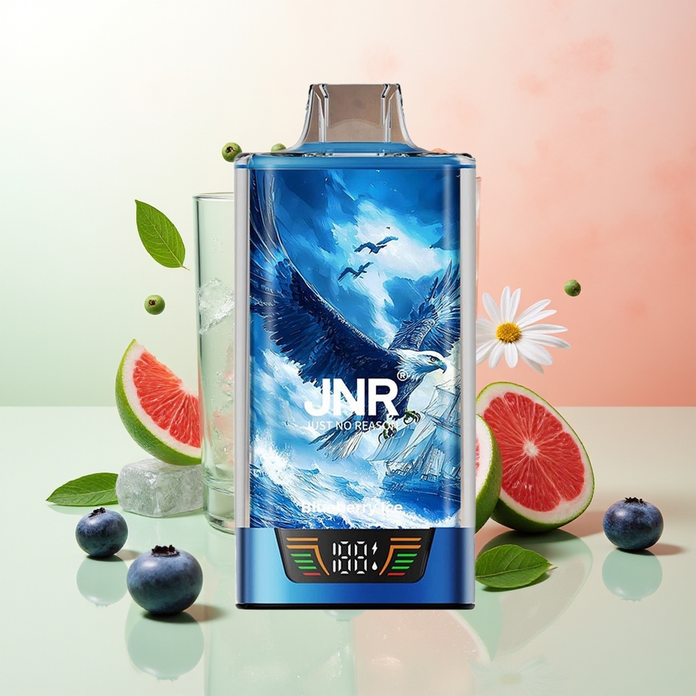 JNR Falcon Pro 28000 Münder Blaubeer-Eis 30ml 950mAh Dual Mesh USB-C MTL
