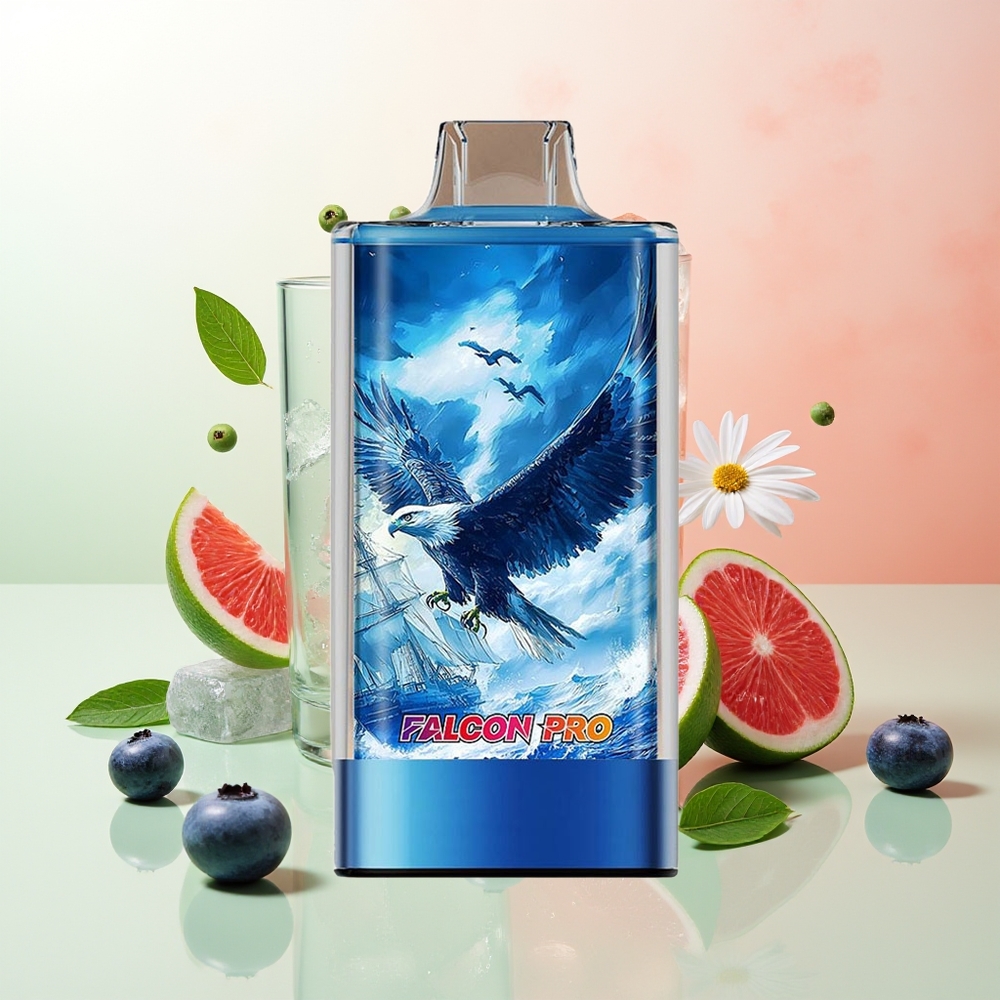 JNR Falcon Pro 28000 Münder Blaubeer-Eis 30ml 950mAh Dual Mesh USB-C MTL