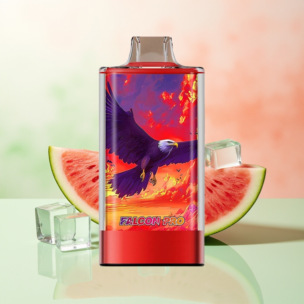 JNR Falcon Pro 28000 Wassermelone Eis 30ml 950mAh Dual Mesh Smart Display USB-C MTL