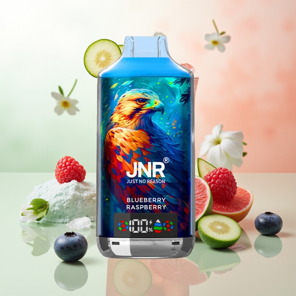 JNR Falcon X 18000 Züge Blaubeere Himbeere 750mAh 24ml Dual Mesh & Dual Core Digital Display Type-C Schnellladung 0% 2% 5%