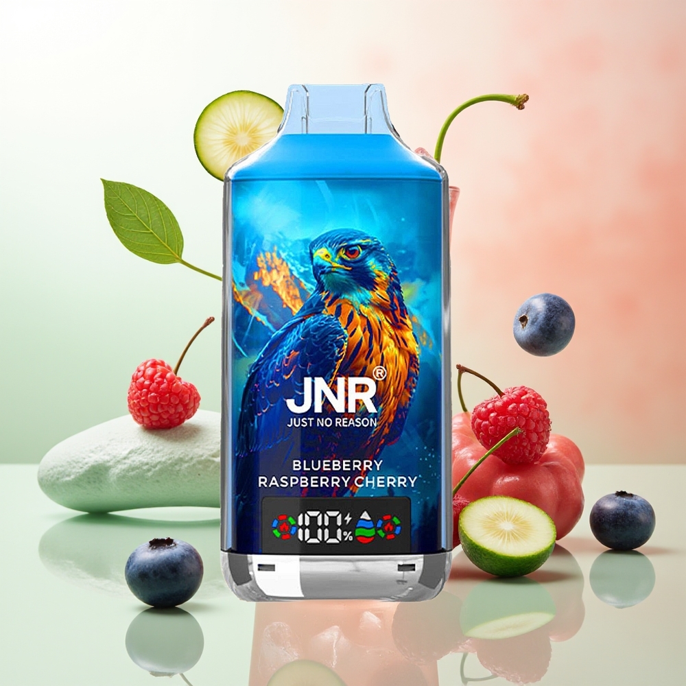 JNR Falcon X 18000 Züge Blaubeere Himbeere Kirsche 750mAh 24ml Doppel-Mesh-Coil Digitalanzeige Typ-C-Schnellladung 0%2%5%