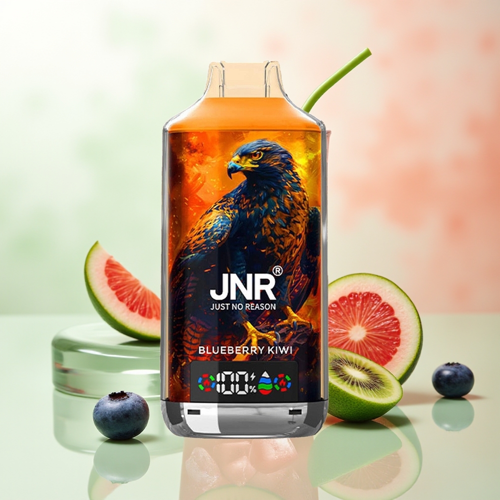 JNR Falcon X 18000 Züge Blaubeere Kiwi 750mAh 24ml Doppelnetzspule Digitalanzeige Typ-C Schnellladung 0%2%5%