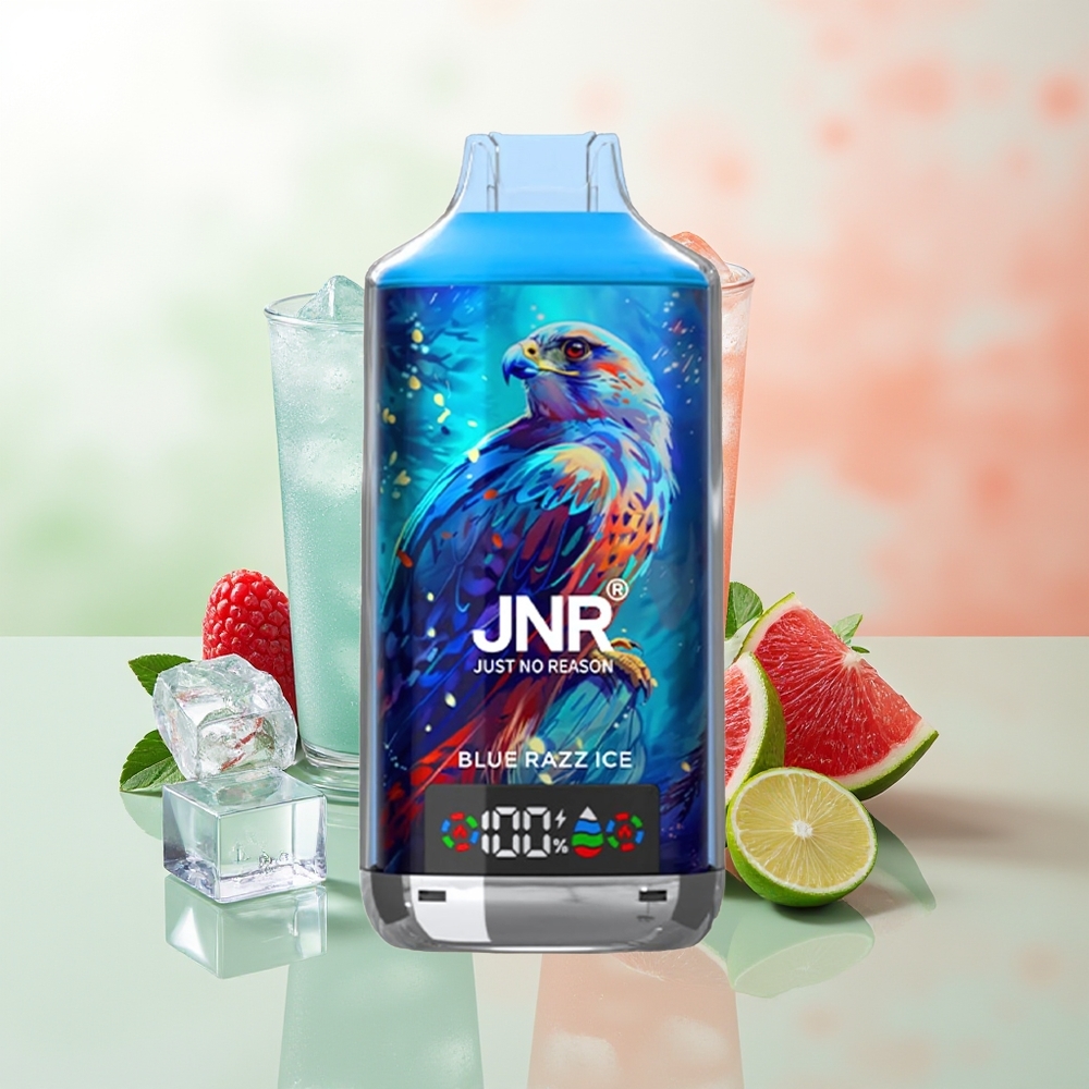 JNR Falcon X 18000 Züge Blaue Himbeere Eis Dual Mesh Coil Digital Display Typ-C Schnellladung 750mAh 24ml 0%2%5%