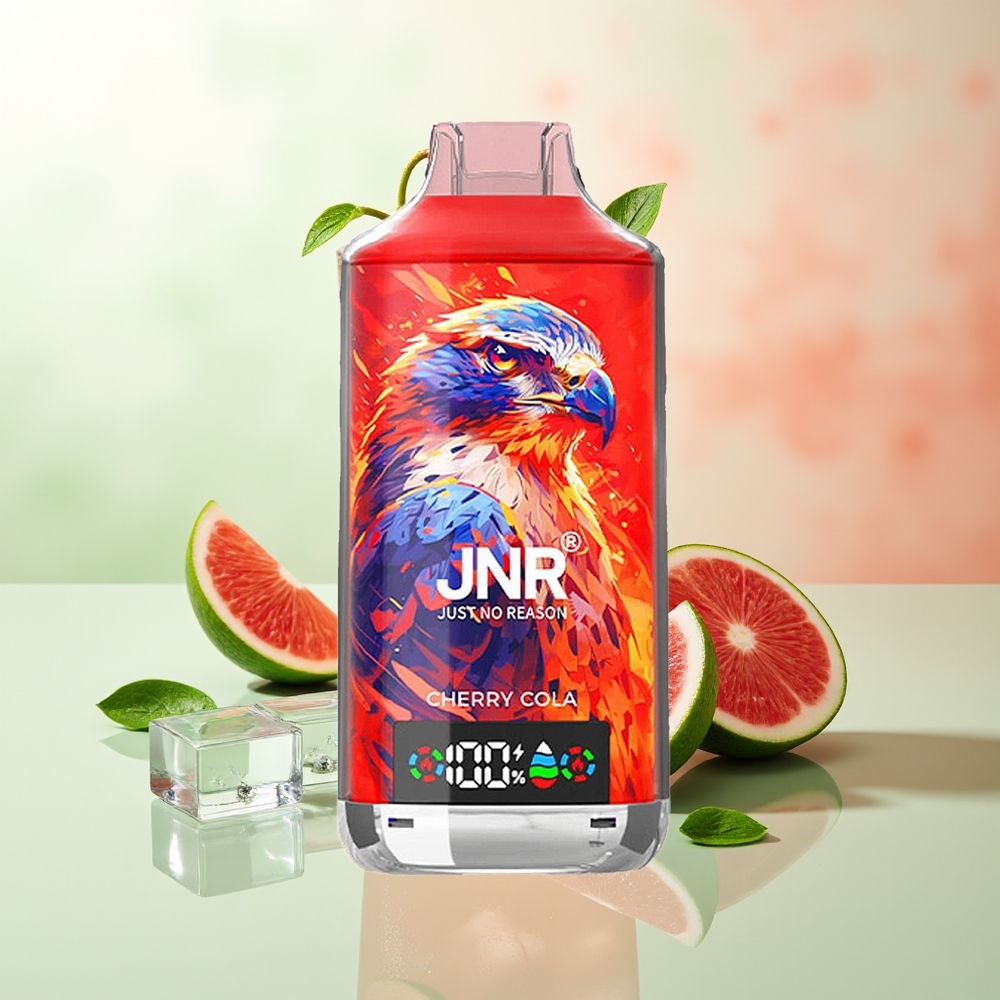 JNR Falcon X 18000 Züge Doppel-Mesh-Kirsche Typ-C Schnellladung 24ml 750mAh