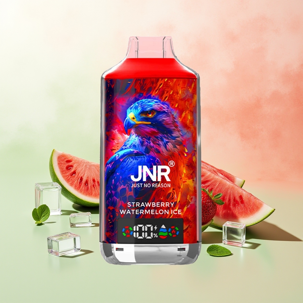 JNR Falcon X 18000 Züge Erdbeer Wassermelone Eis 750mAh 24ml Dual Mesh Dual Core Digital Display Type-C 0%2%5%