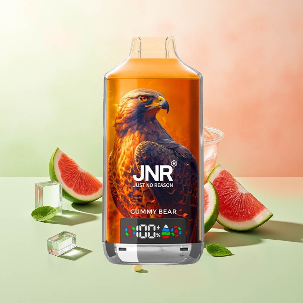 JNR Falcon X 18000 Züge Gummibär Dual Mesh Digital Type-C