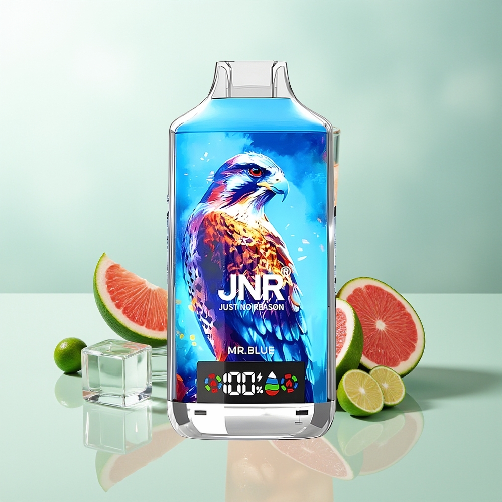 JNR Falcon X 18000 Züge Herr Blau 750mAh 24ml Dual Mesh Dual Core Digital Typ-C Schnellladung 0%2%5%