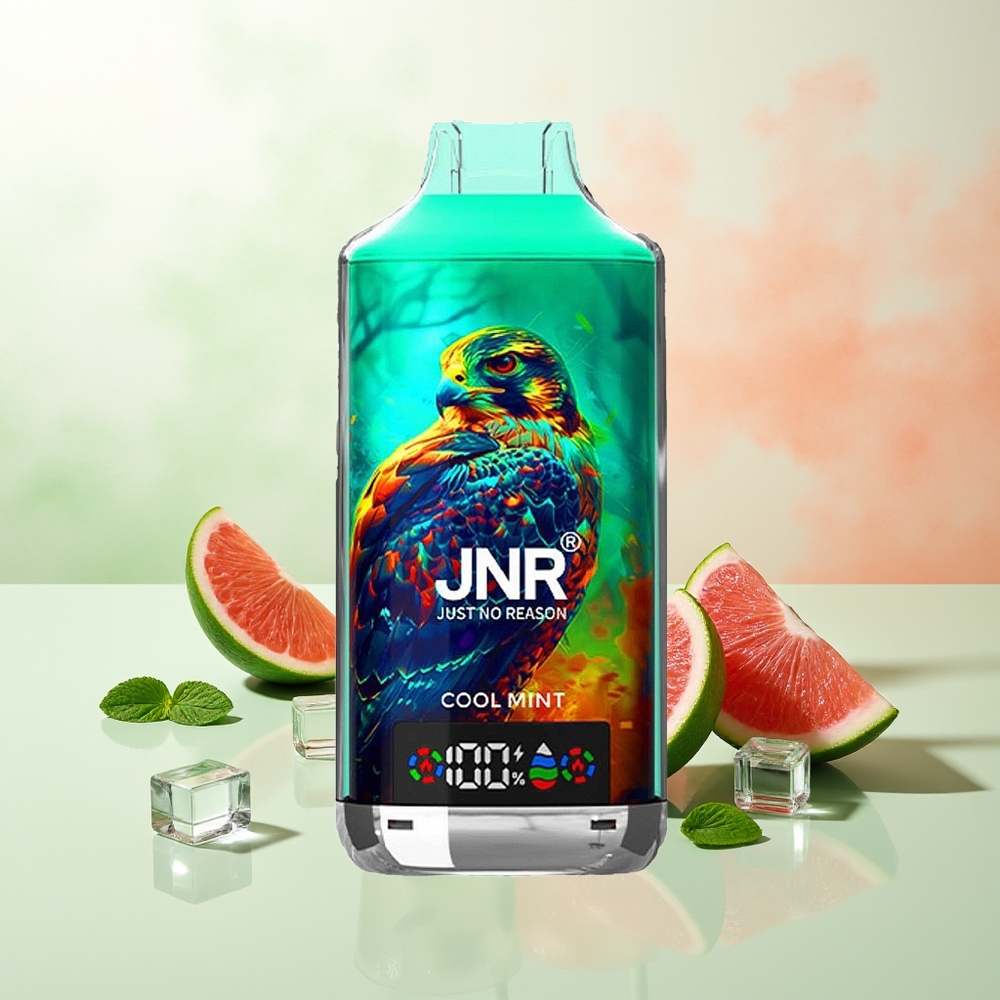 JNR Falcon X 18000 Züge Kühle Minze 750mAh 24ml Dual Mesh & Dual Core Digital Display Type-C Schnellladung 0%2%5%