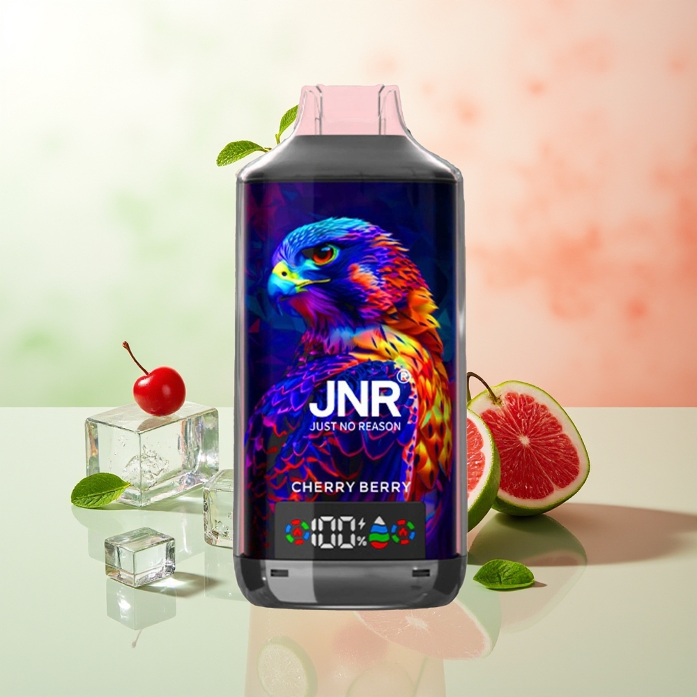 JNR Falcon X 18000 Züge Kirsch-Beere 750mAh 24ml Dual Mesh Dual Core Digital Typ-C 0%2%5%