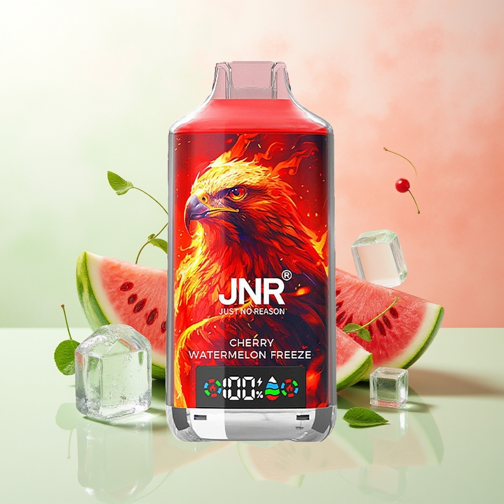 JNR Falcon X 18000 Züge Kirsch-Wassermelone Eis Digital Dual Mesh Typ-C