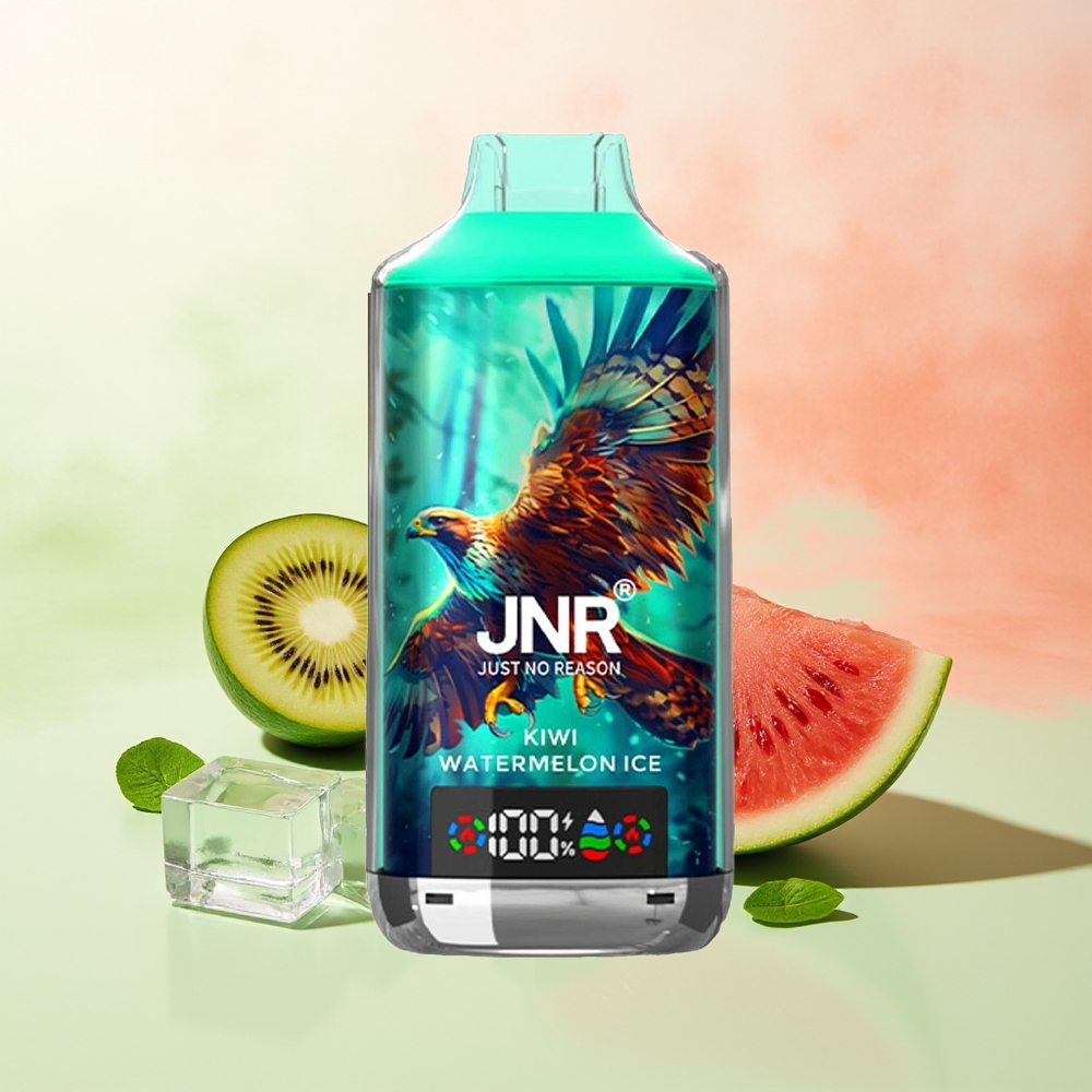JNR Falcon X 18000 Züge Kiwi Wassermelone Eis 750mAh 24ml Dual Mesh Dual Core Digital Display Type-C 0% 2% 5%