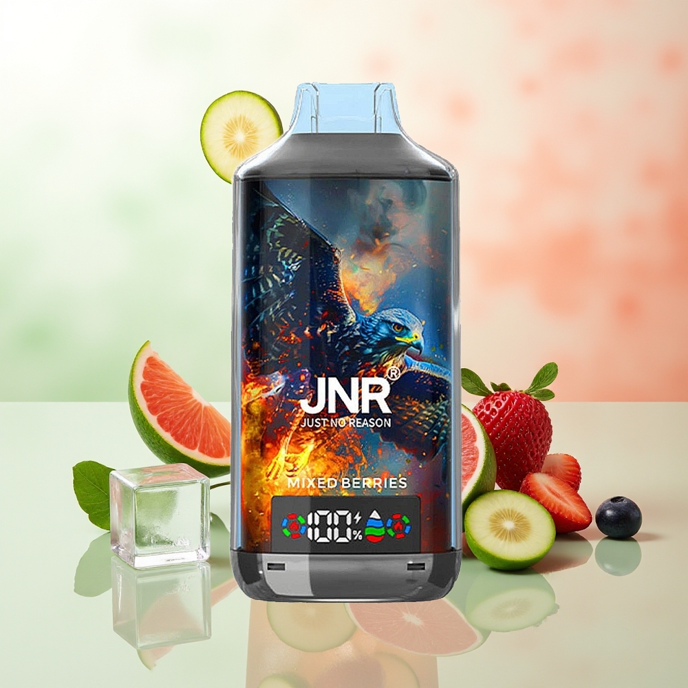 JNR Falcon X 18000 Züge Mischbeeren Digital Typ-C Dual Mesh 750mAh 24ml