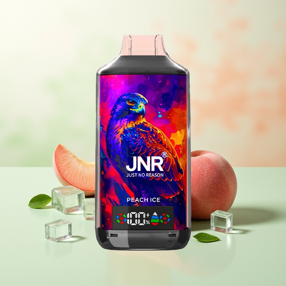 JNR Falcon X 18000 Züge Pfirsich Eis Digital Dual Mesh Typ-C 750mAh 24ml