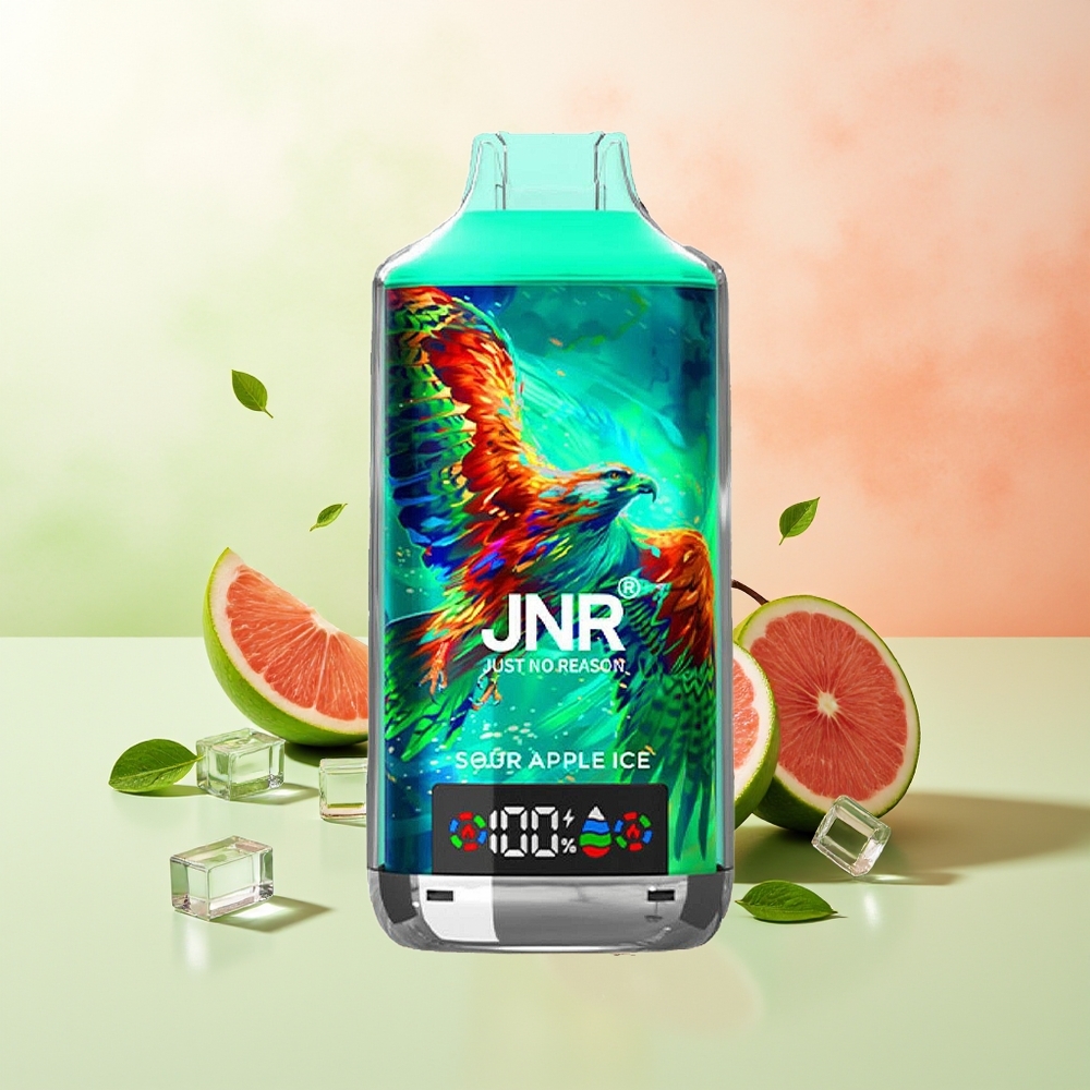 JNR Falcon X 18000 Züge Sauer Apfel Eis 750mAh Typ-C Dual Mesh Digital