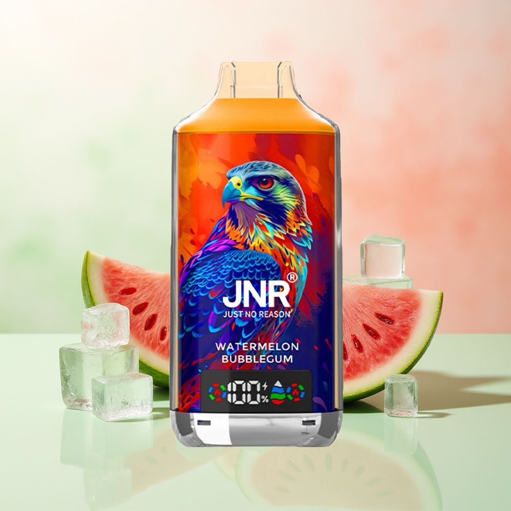 JNR Falcon X 18000 Züge Wassermelone Bubblegum 750mAh 24ml Dual Mesh Coil Digital Display Type-C 0%2%5%