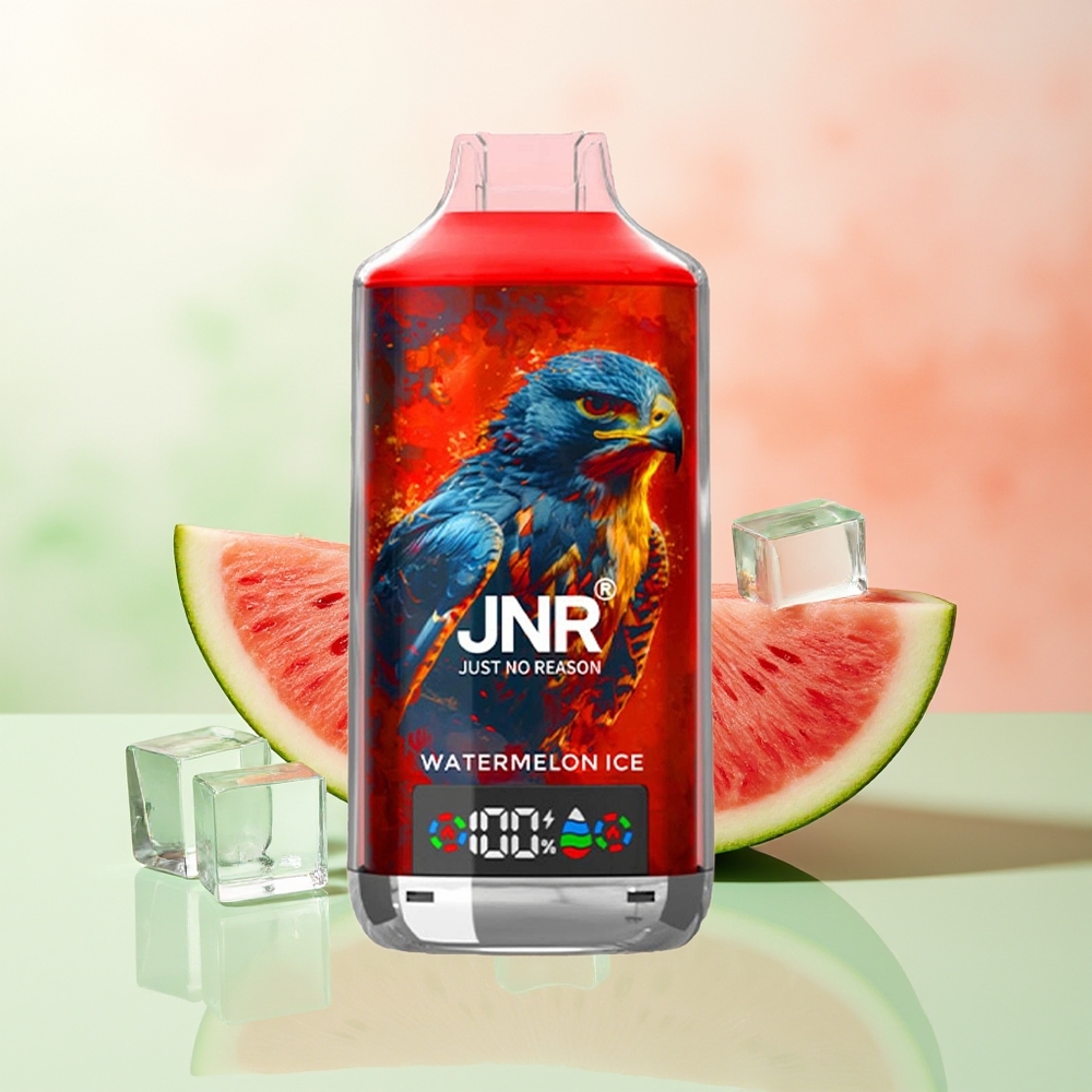 JNR Falcon X 18000 Züge Wassermelone Eis 750mAh 24ml Dual Mesh Dual Core Digital Display Type-C 0%2%5%