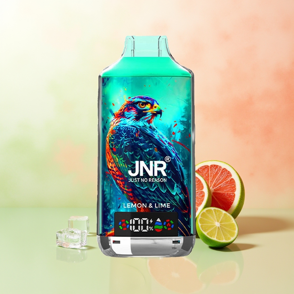 JNR Falcon X 18000 Züge Zitrone Limette Digital Typ-C Doppelmesh 750mAh 24ml