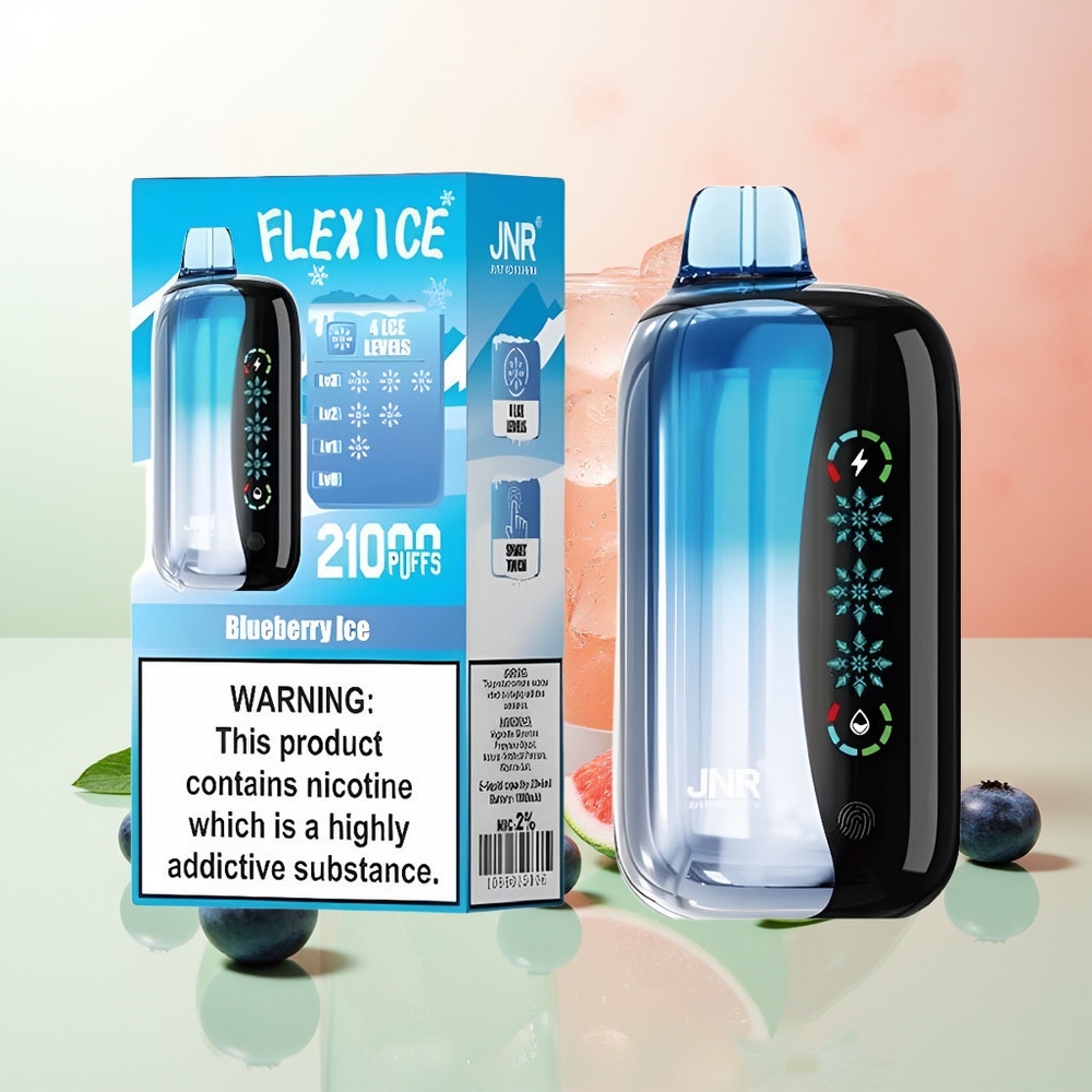 JNR Flex Ice 21000 Züge Blaubeere-Eis Anpassbarer Luftstrom Dual Mesh Touch