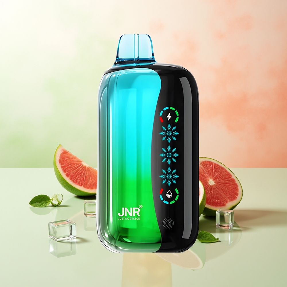 JNR Flex Ice 21000 Züge Doppel Apfel Verstellbarer Luftstrom Touchscreen Dual Mesh Typ-C