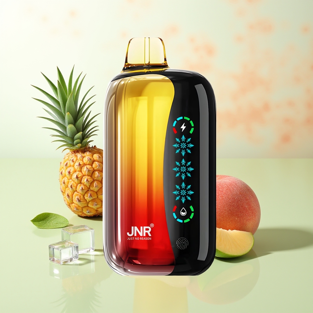 JNR Flex Ice 21000 Züge Einweg-Vape Pfirsich Mango Ananas Anpassbarer Luftstrom Touchscreen Dual Mesh Typ-C