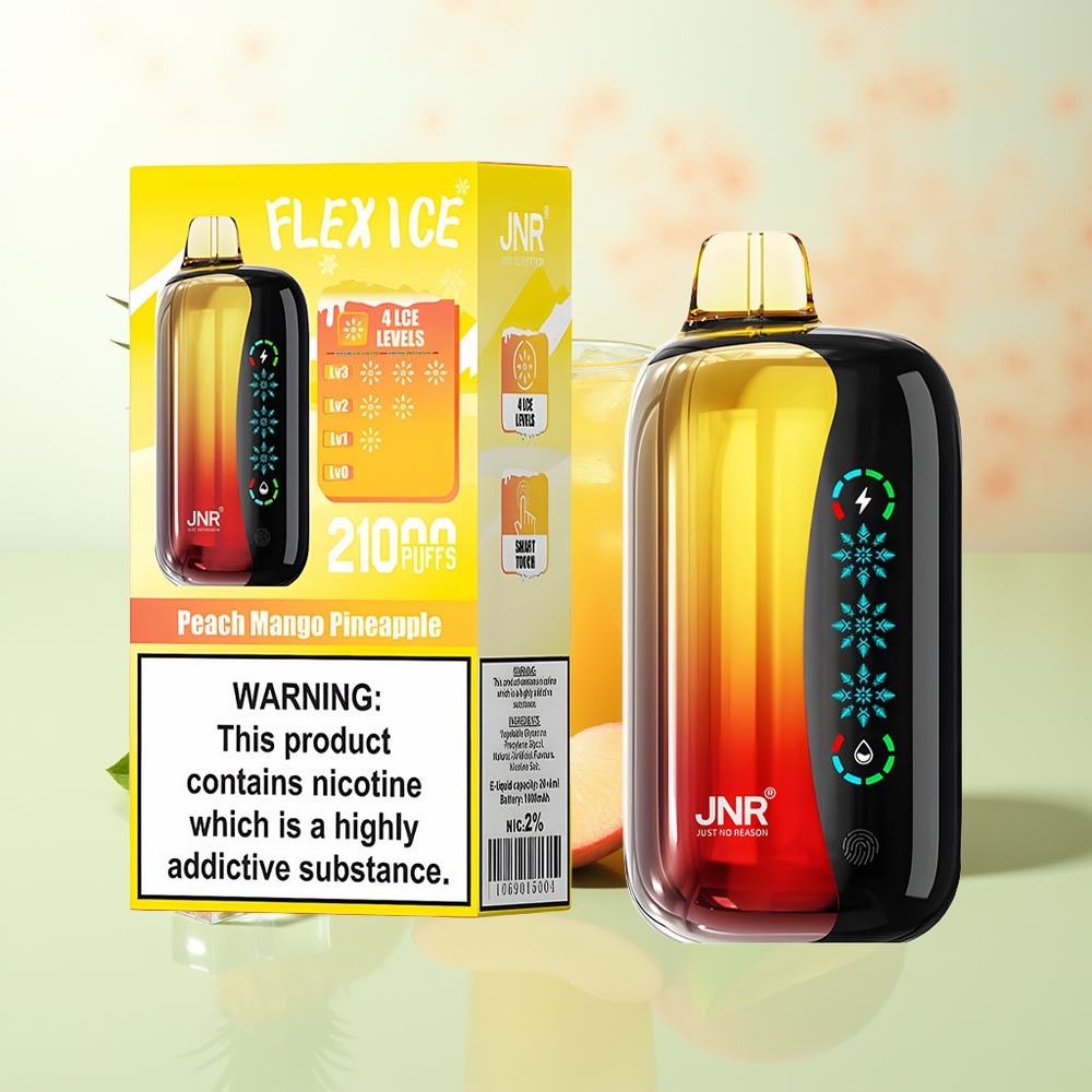 JNR Flex Ice 21000 Züge Einweg-Vape Pfirsich Mango Ananas Anpassbarer Luftstrom Touchscreen Dual Mesh Typ-C