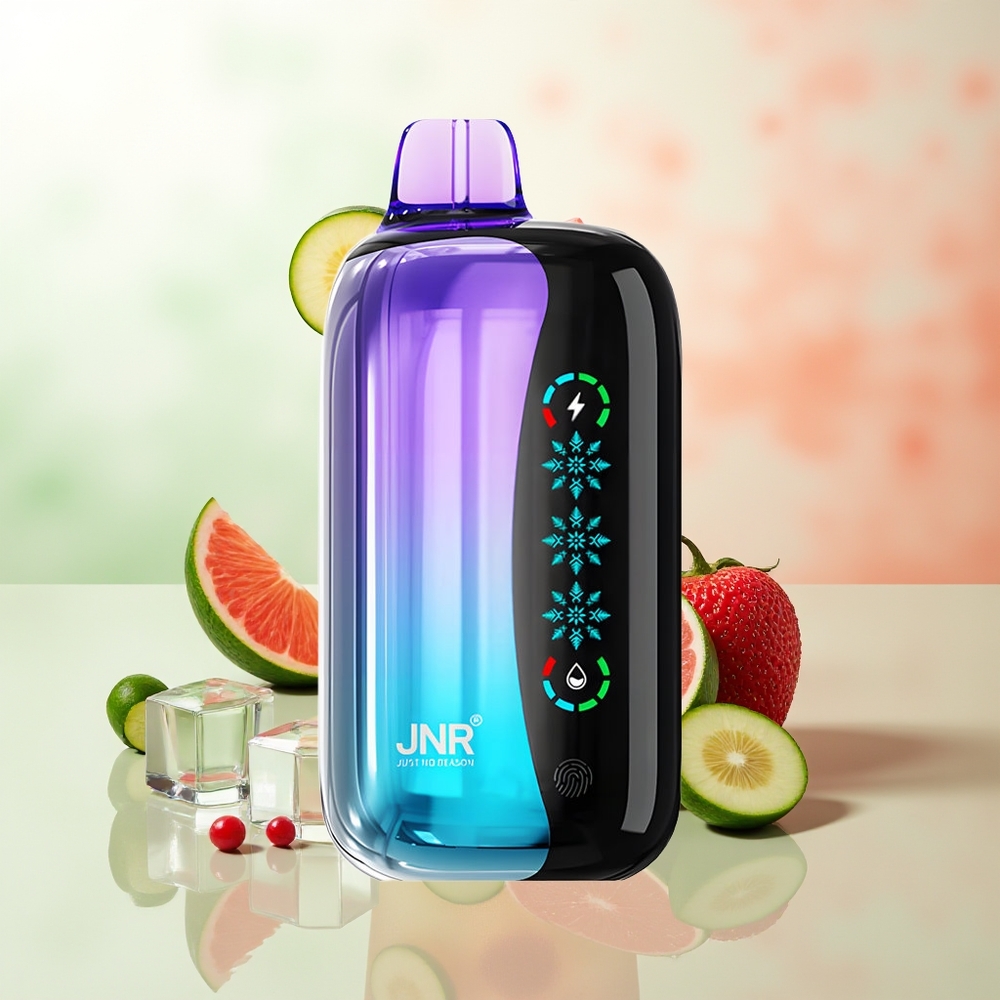 JNR Flex Ice 21000 Züge Mischbeere Einstellbare Eis Touchscreen Dual Mesh Typ-C