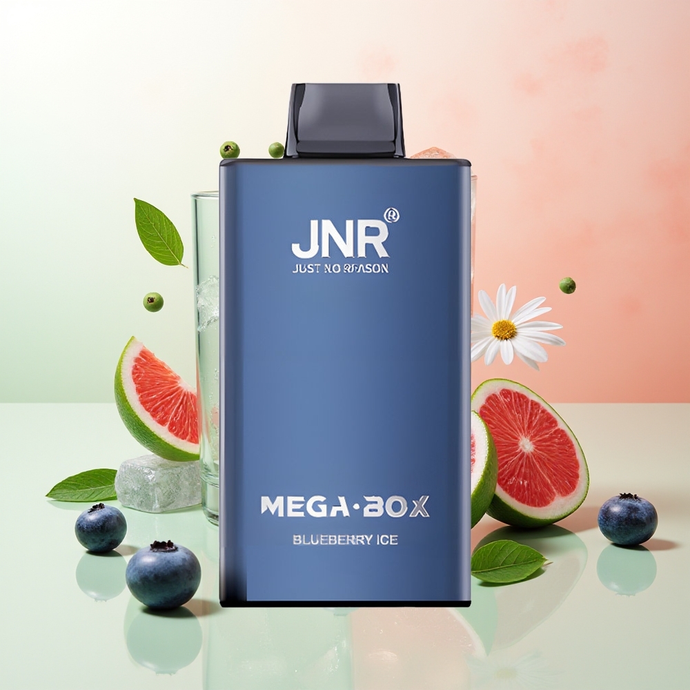 JNR Mega Box 25000 Züge Blaubeer-Eis Doppel-Mesh Typ-C 30ml 2%