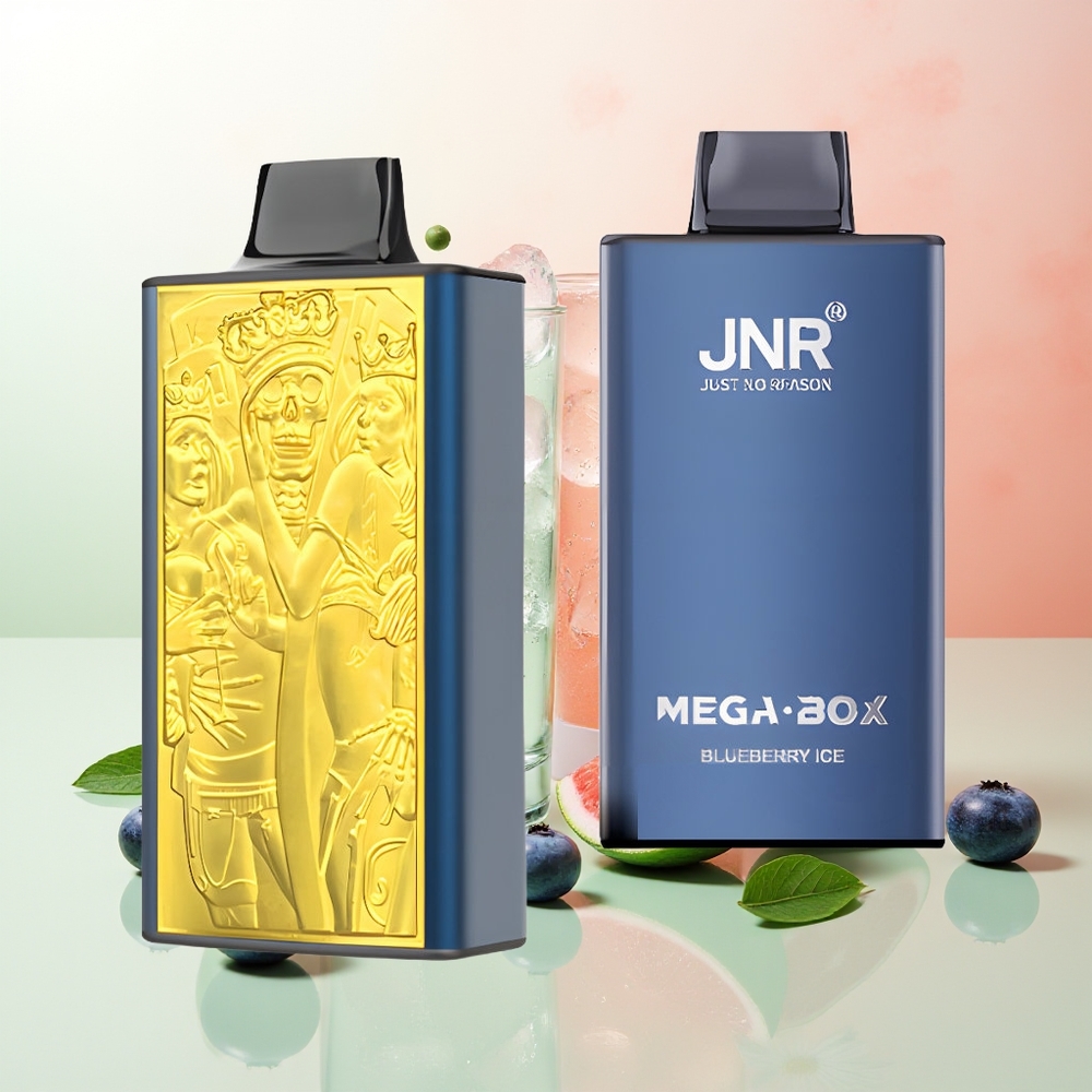 JNR Mega Box 25000 Züge Blaubeer-Eis Doppel-Mesh Typ-C 30ml 2%
