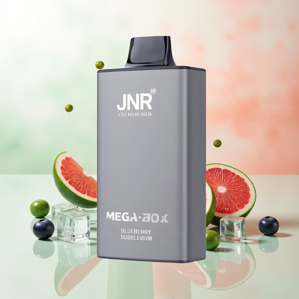 JNR Mega Box 25000 Züge Blaubeere Bubblegum Dual Mesh 30ml 850mAh Type-C