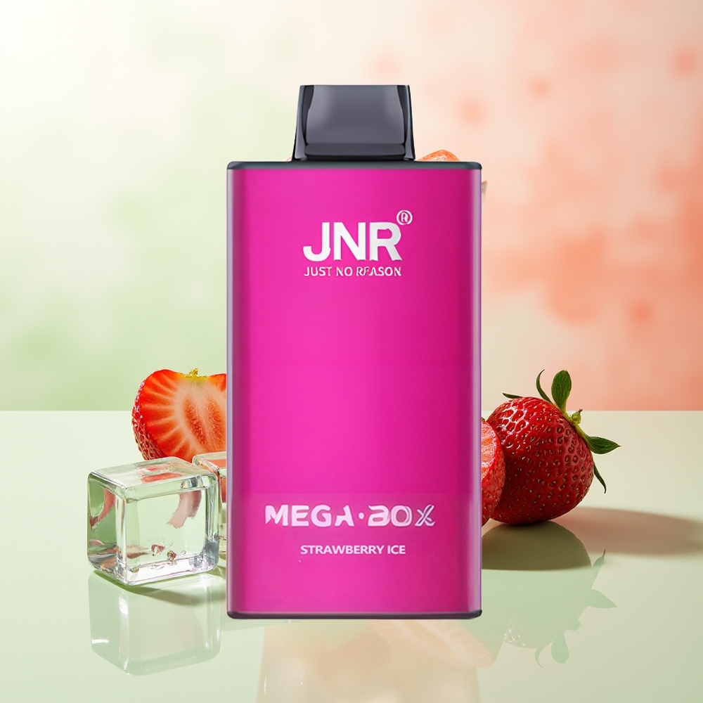 JNR Mega Box 25000 Züge Erdbeer-Eis Dual Mesh Typ-C 30ml