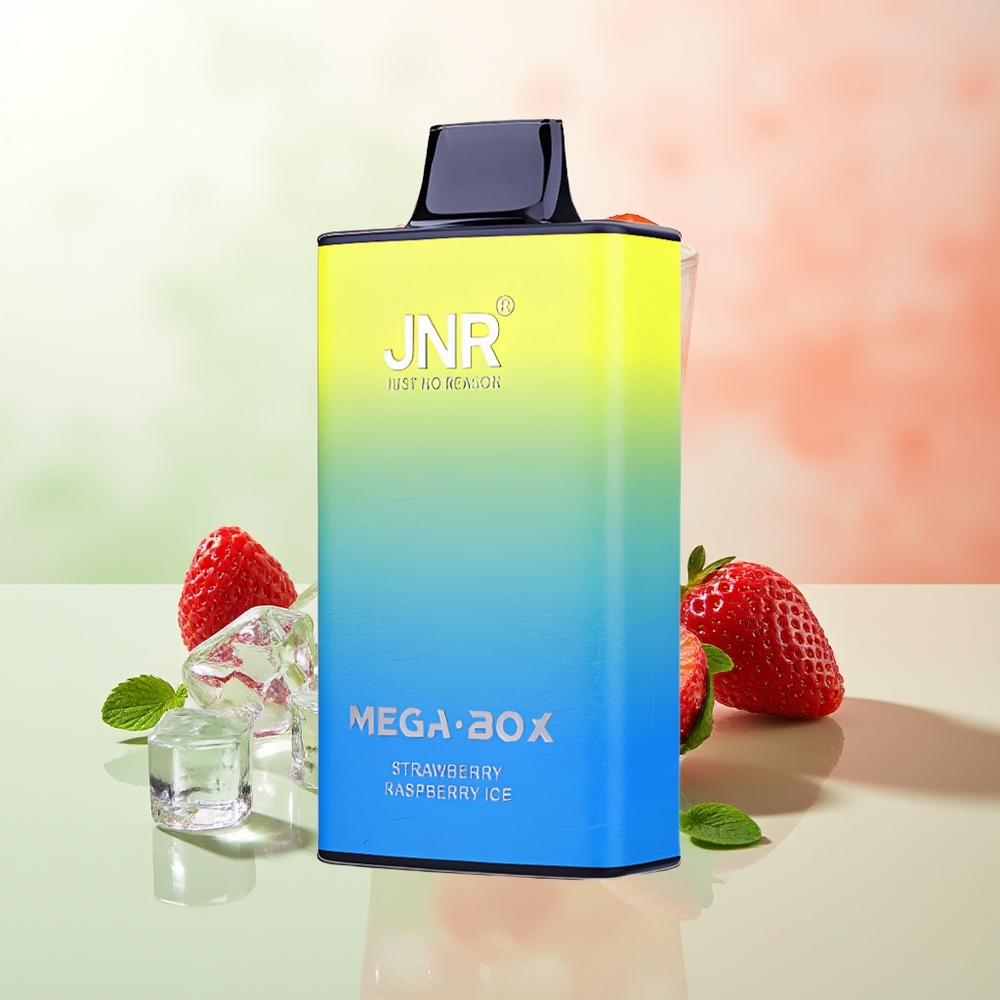 JNR Mega Box 25000 Züge Erdbeere Himbeere Eis 30ml 850mAh Dual Mesh Coil Typ-C